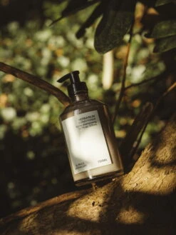 Frama Herbarium Hoitoaine, 375 Ml 7 Frama Herbarium Hoitoaine, 375 Ml -Frama Myymälämyynti Frama Herbarium Product Forest 2022 Paolo Galgani 4x3 11